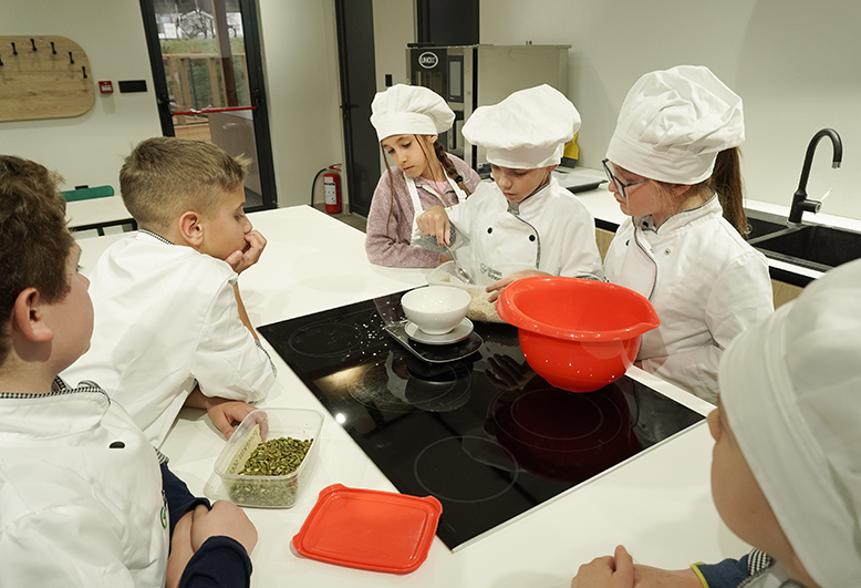 Healthy Ingredients, Active Learning4.png