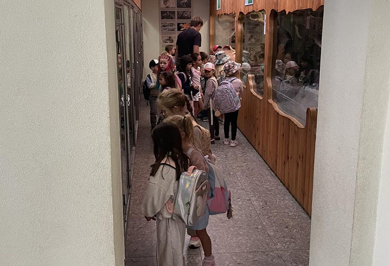 Zoo, Y111.jpeg