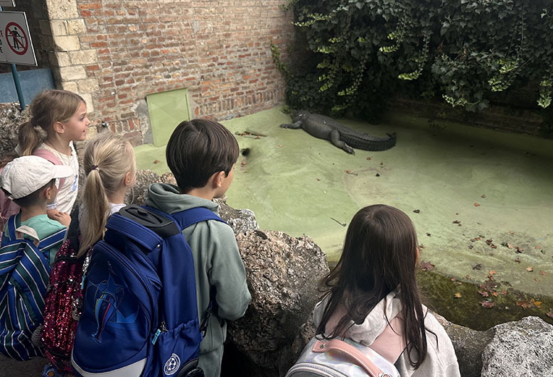 Zoo, Y12.jpeg