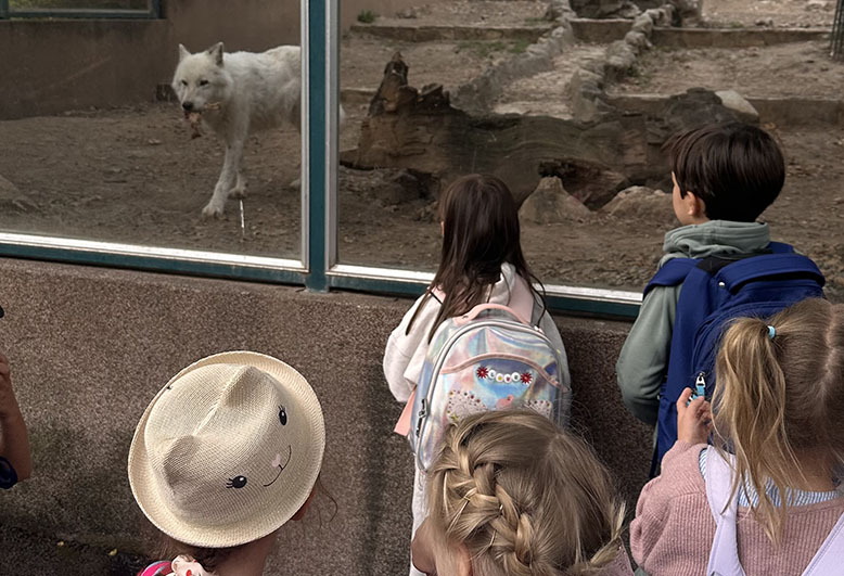 Zoo, Y13.jpeg