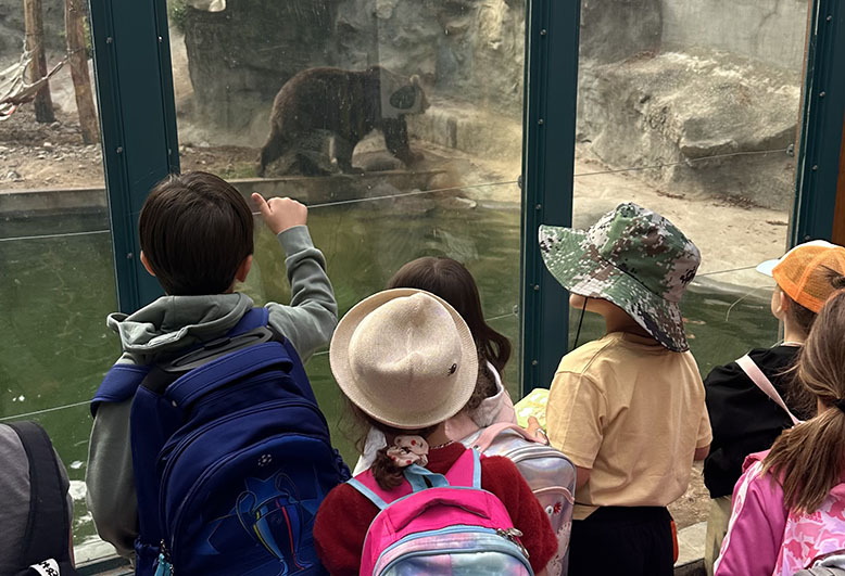 Zoo, Y14.jpeg