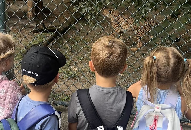 Zoo, Y15.jpeg