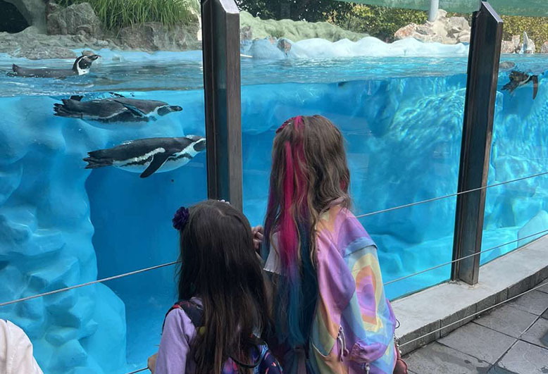Zoo, Y19.jpeg